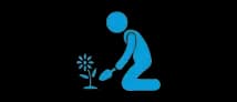 Ground Maintenance